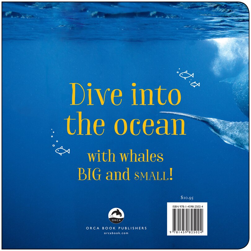 Back cover_Big Whales, Small World