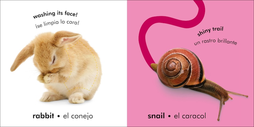 Sample content_Bilingual Baby Touch and Feel: Animals - Los animales