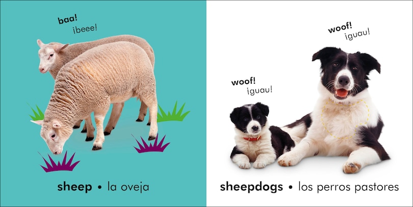 Aper&ccedil;u du contenu 4_Bilingual Baby Touch and Feel: Farm - La granja