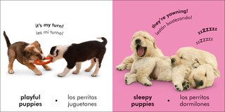 Aper&ccedil;u du contenu_Bilingual Baby Touch and Feel Puppies / Los perritos