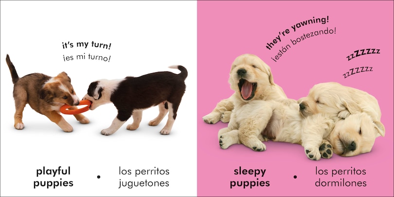 Aper&ccedil;u du contenu_Bilingual Baby Touch and Feel Puppies / Los perritos