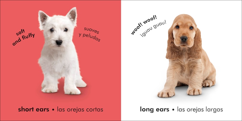 Aper&ccedil;u du contenu 2_Bilingual Baby Touch and Feel Puppies / Los perritos
