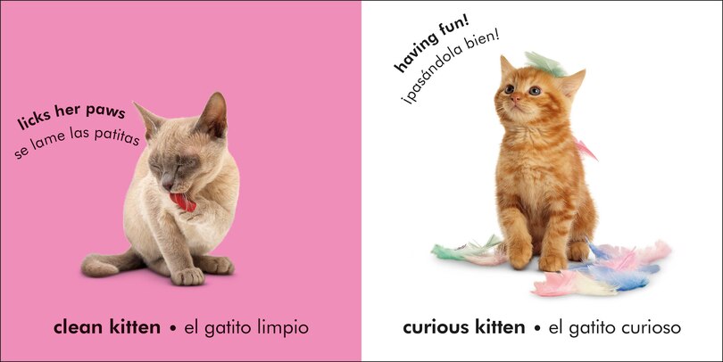 Aper&ccedil;u du contenu_Bilingual Baby Touch and Feel Kittens / Los gatitos