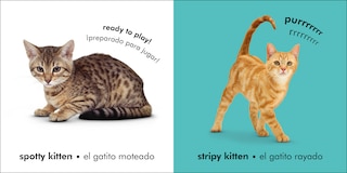 Aper&ccedil;u du contenu 2_Bilingual Baby Touch and Feel Kittens / Los gatitos