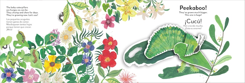 Sample content_Bilingual Pop-Up Peekaboo! Butterfly - La mariposa