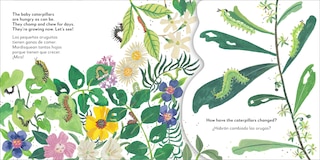 Sample content 2_Bilingual Pop-Up Peekaboo! Butterfly - La mariposa