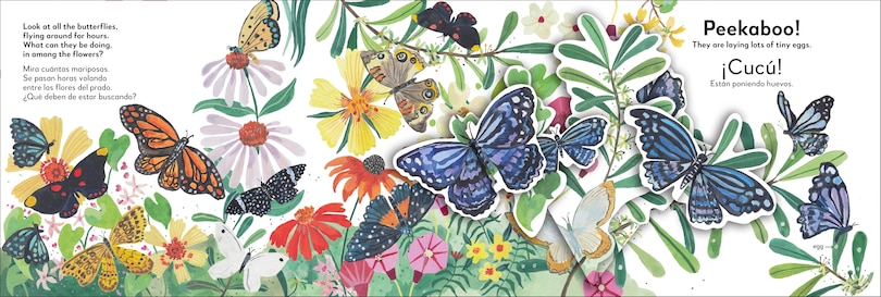 Sample content 3_Bilingual Pop-Up Peekaboo! Butterfly - La mariposa