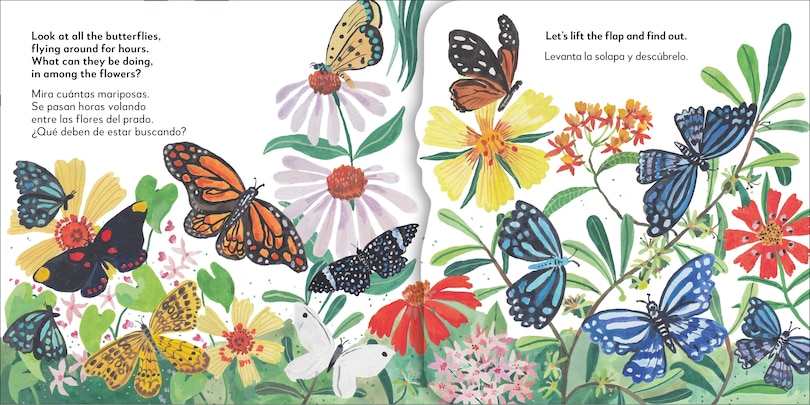 Sample content 4_Bilingual Pop-Up Peekaboo! Butterfly - La mariposa