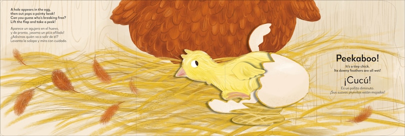 Aperçu du contenu_Bilingual Pop-Up Peekaboo! Chick / El pollito