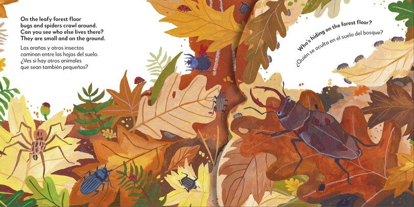 Aper&ccedil;u du contenu 2_Bilingual Pop-Up Peekaboo! Forest - El bosque