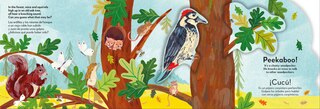 Aper&ccedil;u du contenu 3_Bilingual Pop-Up Peekaboo! Forest - El bosque
