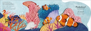Aper&ccedil;u du contenu 3_Bilingual Pop-Up Peekaboo! Ocean - El oc&eacute;ano