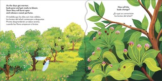 Sample content 2_Bilingual Pop-Up Peekaboo! Tree / El &aacute;rbol