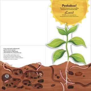 Sample content 3_Bilingual Pop-Up Peekaboo! Tree / El &aacute;rbol