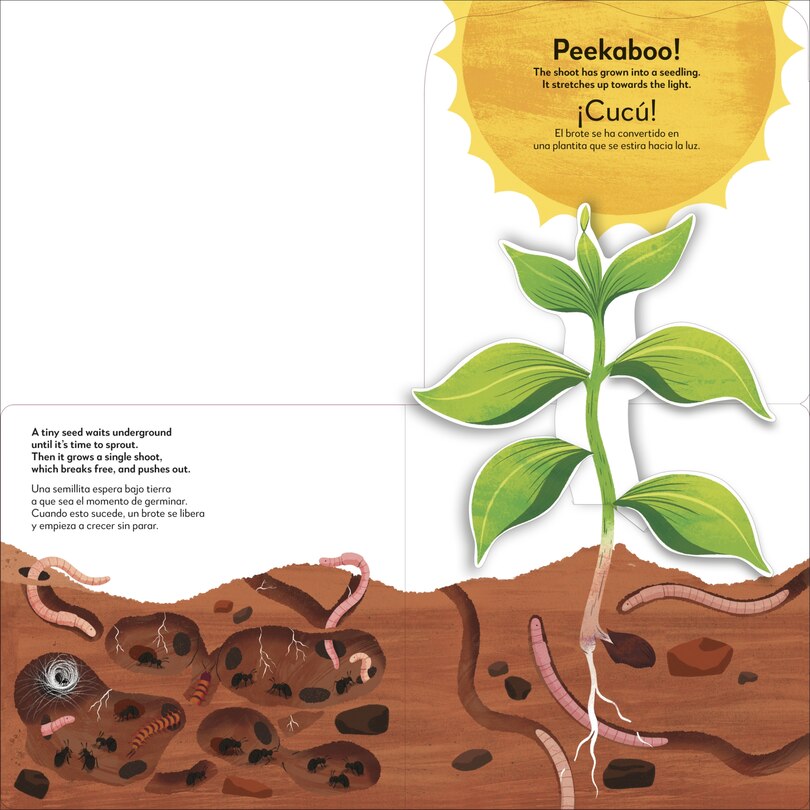 Sample content 3_Bilingual Pop-Up Peekaboo! Tree / El &aacute;rbol