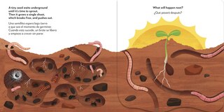 Sample content 4_Bilingual Pop-Up Peekaboo! Tree / El &aacute;rbol