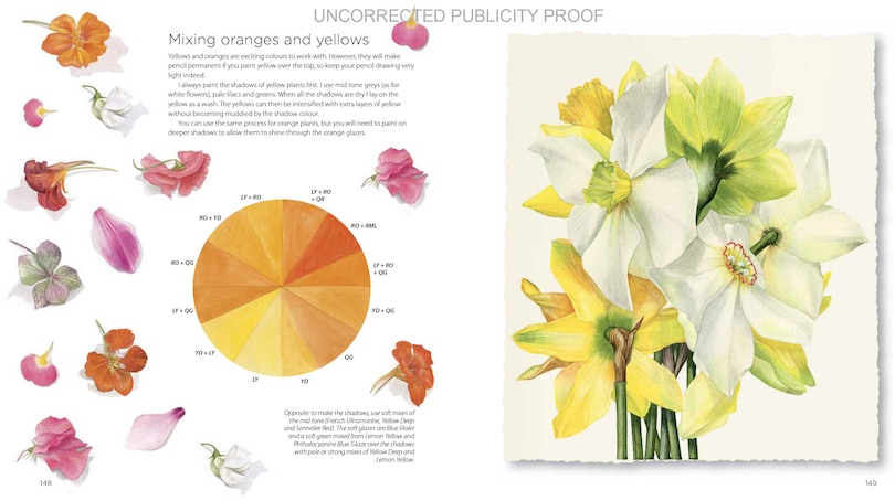 Aper&ccedil;u du contenu_Billy Showell's Botanical Painting In Watercolour