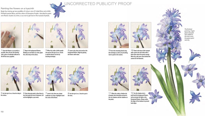 Aper&ccedil;u du contenu 2_Billy Showell's Botanical Painting In Watercolour