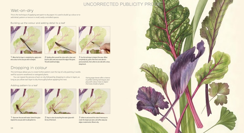 Aper&ccedil;u du contenu 4_Billy Showell's Botanical Painting In Watercolour