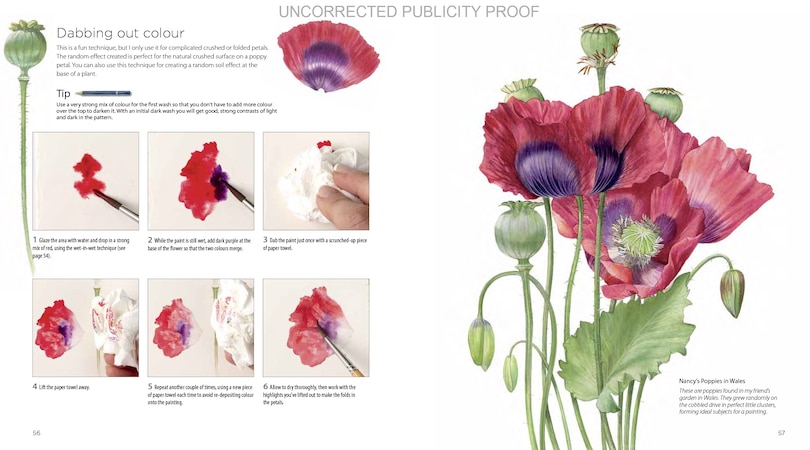 Aper&ccedil;u du contenu 5_Billy Showell's Botanical Painting In Watercolour