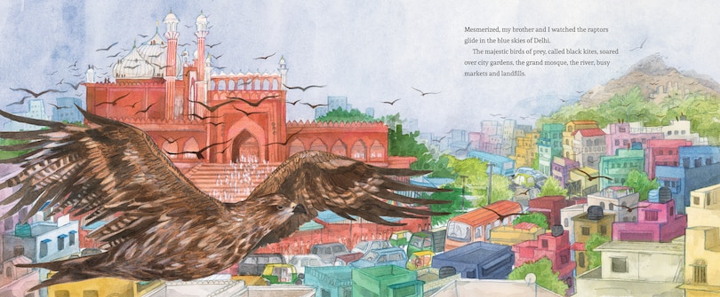 Sample content_Bird Brothers, A Delhi Story