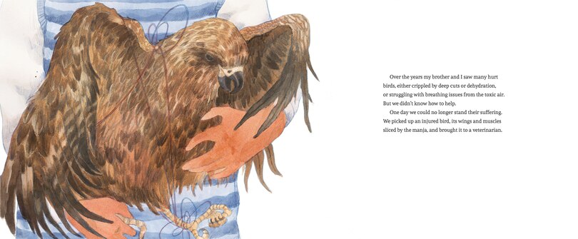 Sample content 5_Bird Brothers, A Delhi Story