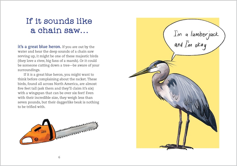 Sample content_Bird Talk