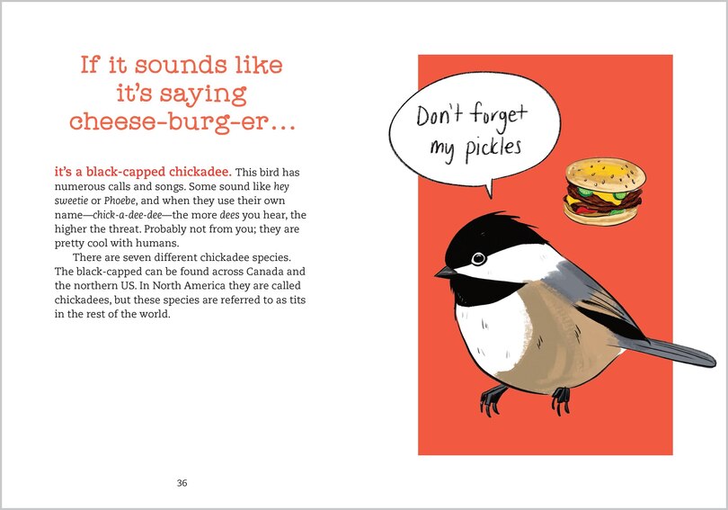 Sample content 2_Bird Talk