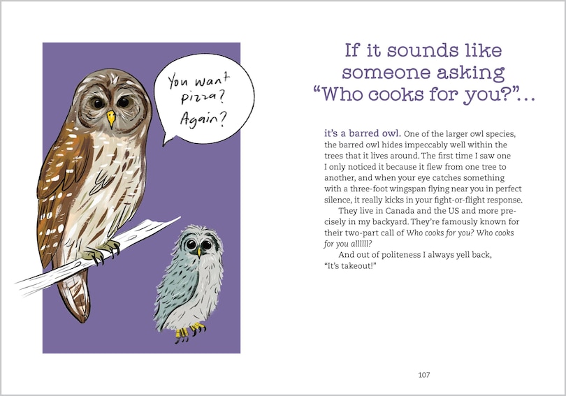 Sample content 3_Bird Talk