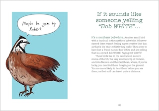 Sample content 4_Bird Talk