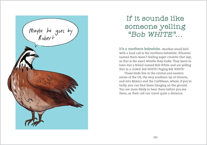 Sample content 4_Bird Talk