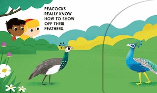 Aperçu du contenu 2_Birdblock (An Abrams Block Book)