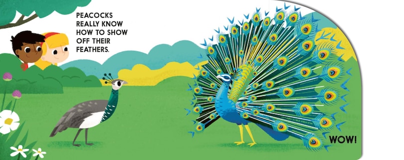 Aperçu du contenu 3_Birdblock (An Abrams Block Book)