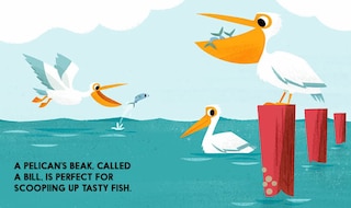 Aperçu du contenu 4_Birdblock (An Abrams Block Book)