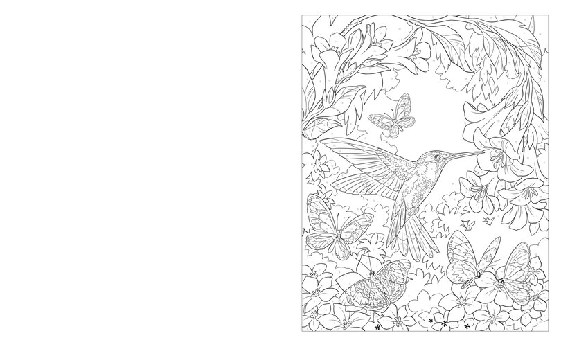 Sample content_Birds & Butterflies Color By Numbers