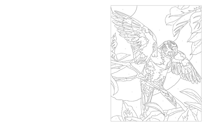 Sample content 2_Birds & Butterflies Color By Numbers