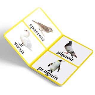 Aper&ccedil;u du contenu_Birds - Early Learning Board Book With Large Font : Big Board Books Series
