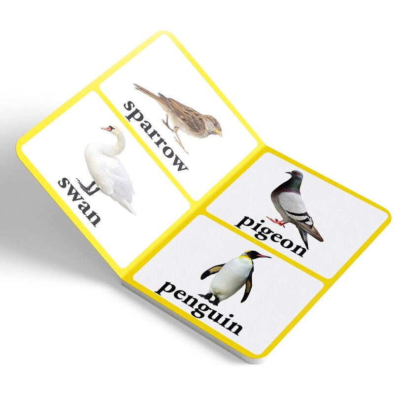 Aper&ccedil;u du contenu_Birds - Early Learning Board Book With Large Font : Big Board Books Series