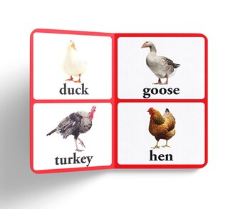 Aper&ccedil;u du contenu 2_Birds - Early Learning Board Book With Large Font : Big Board Books Series