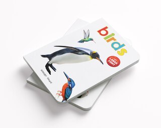 Aper&ccedil;u du contenu 3_Birds - Early Learning Board Book With Large Font : Big Board Books Series