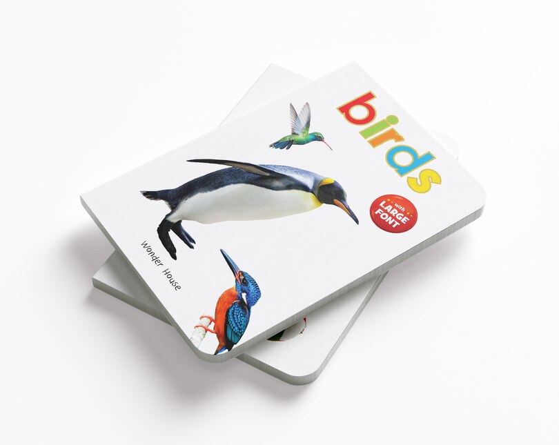 Aper&ccedil;u du contenu 3_Birds - Early Learning Board Book With Large Font : Big Board Books Series