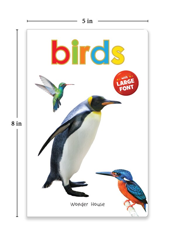 Aper&ccedil;u du contenu 4_Birds - Early Learning Board Book With Large Font : Big Board Books Series