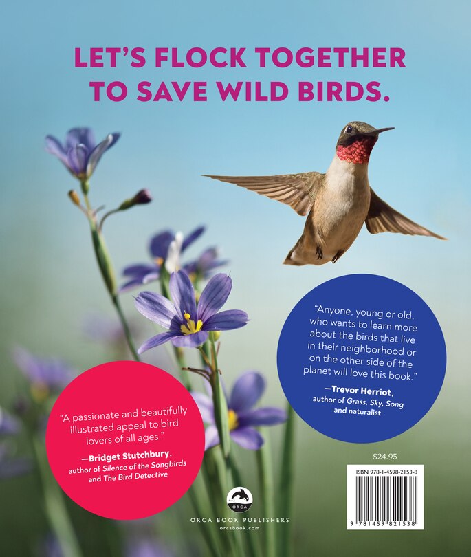 Back cover_Bird's-eye View