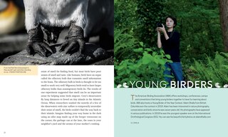 Sample content 2_Bird's-eye View