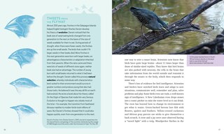 Sample content 3_Bird's-eye View