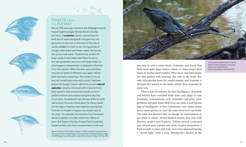 Sample content 3_Bird's-eye View