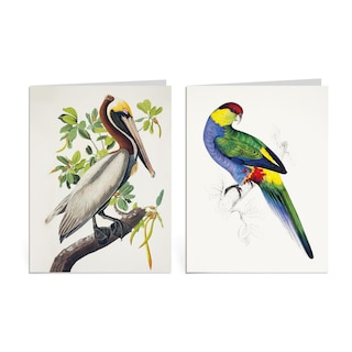 Sample content 2_Birds of a Feather