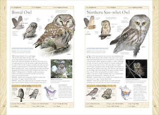 Sample content_Birds Of Canada