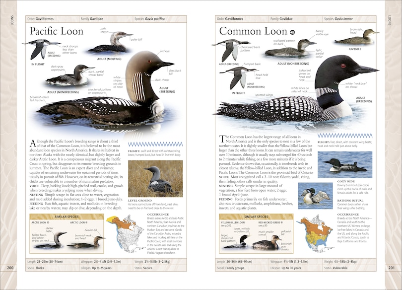Sample content 2_Birds Of Canada