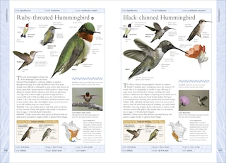 Sample content 3_Birds Of Canada